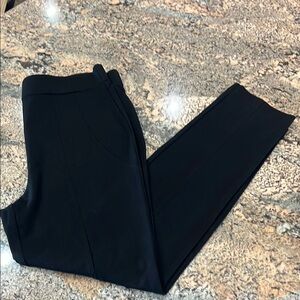 Thalian Black Skinny Pants with Matte Finish